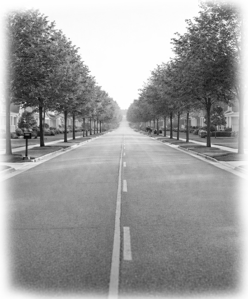 A tree-lined residential street
